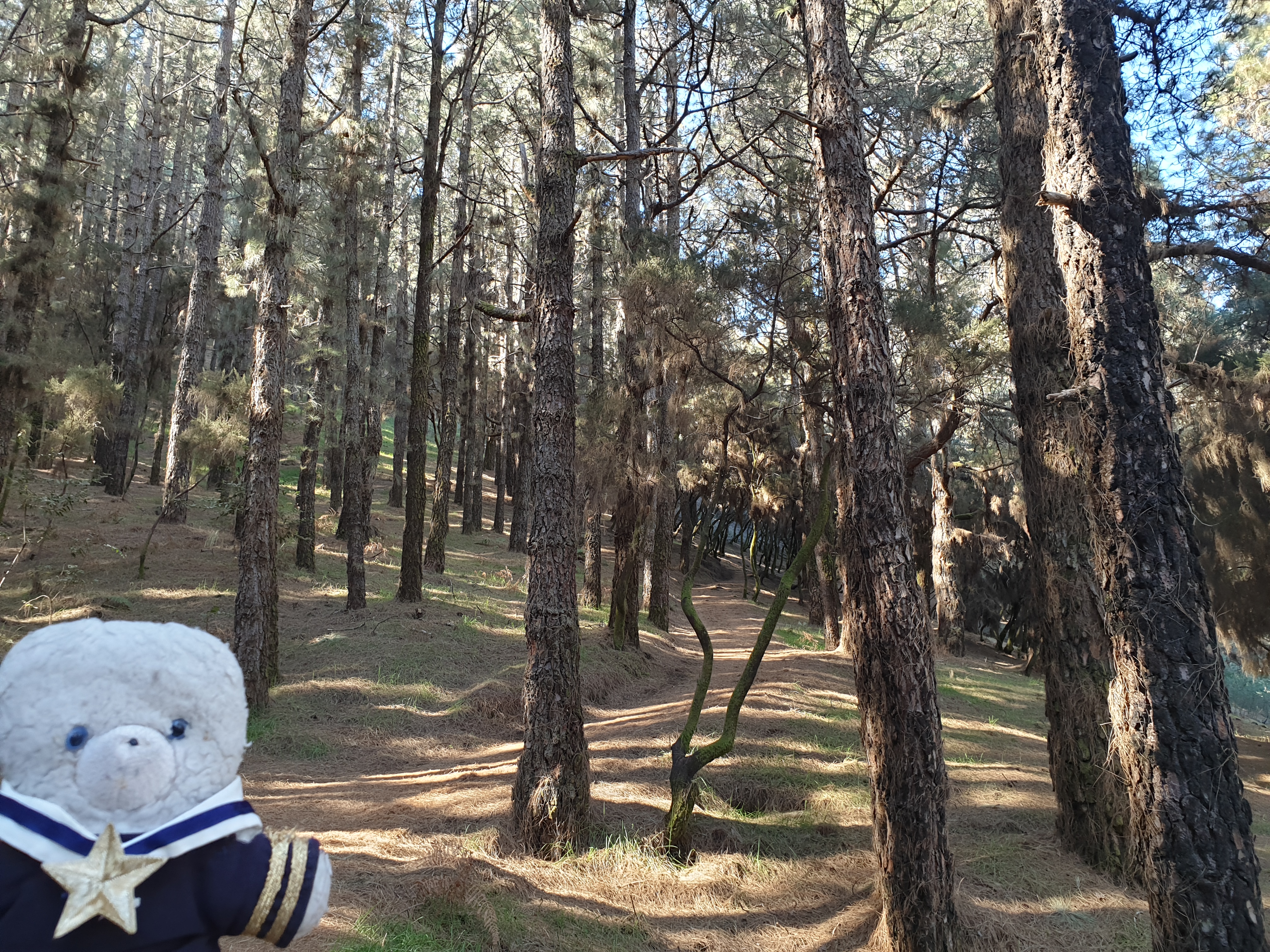 A hike for sporty teddy bears only – Trouspinet travels