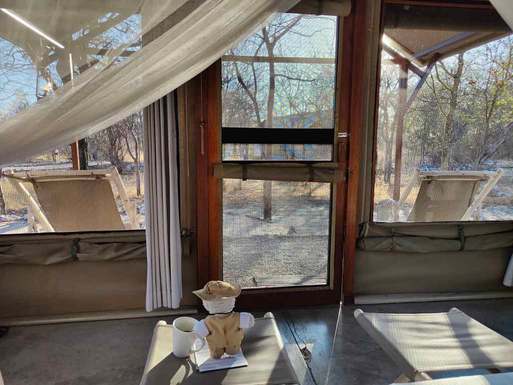 camp Etosha