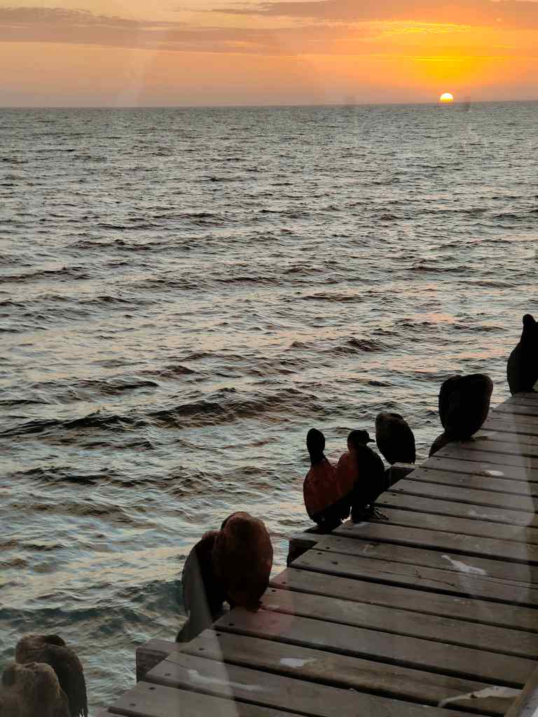 Swapkopmund restaurant