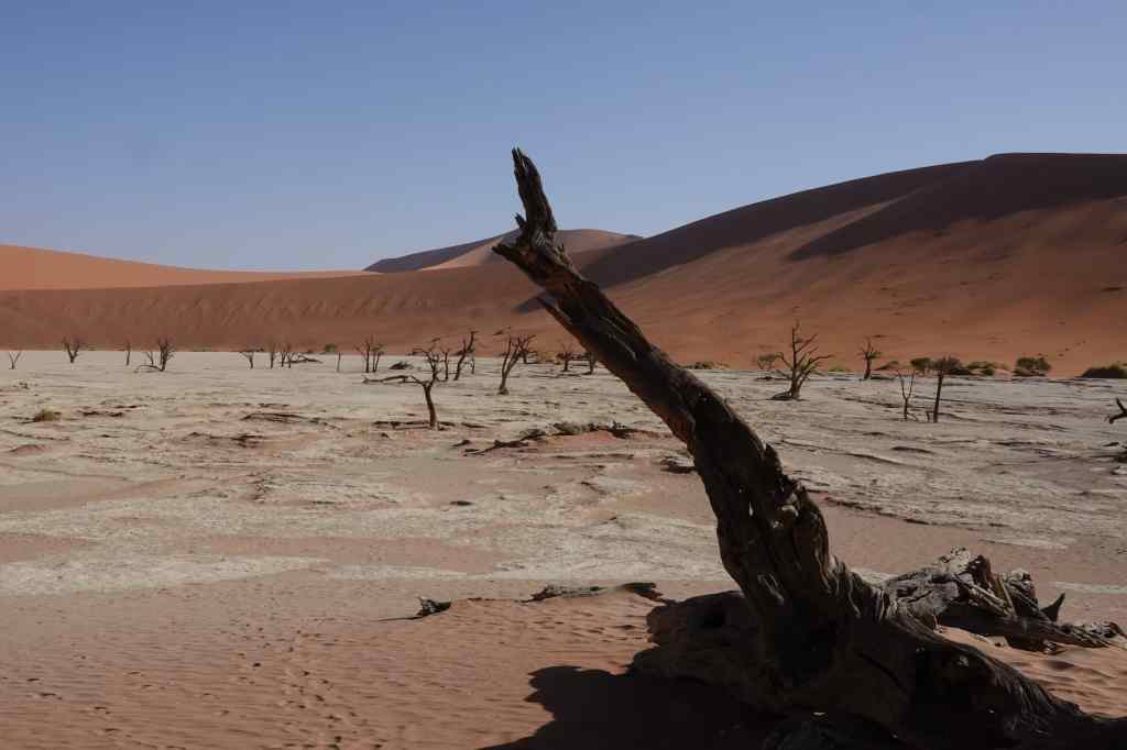 the Dead Vlei