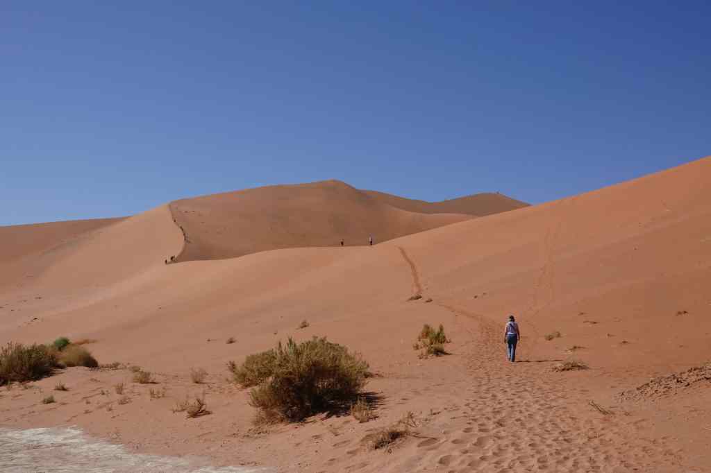 climbing big daddy dune