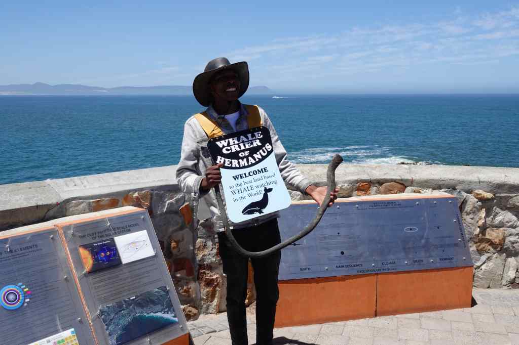 Hermanus Whale Crier