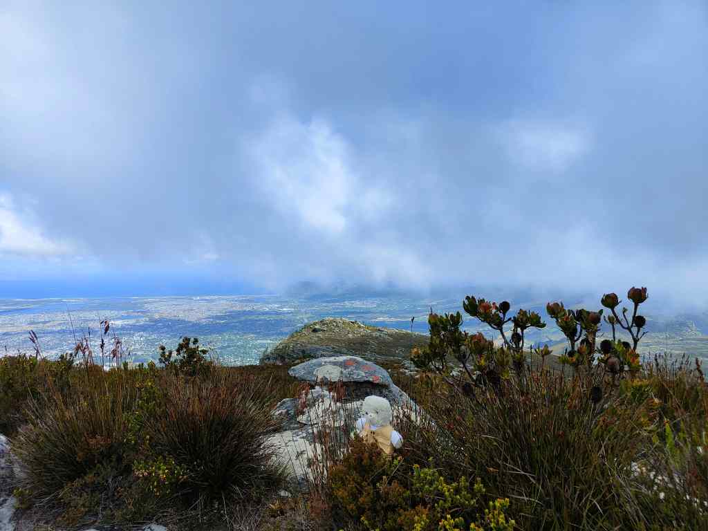 table mountain view over Cape Town