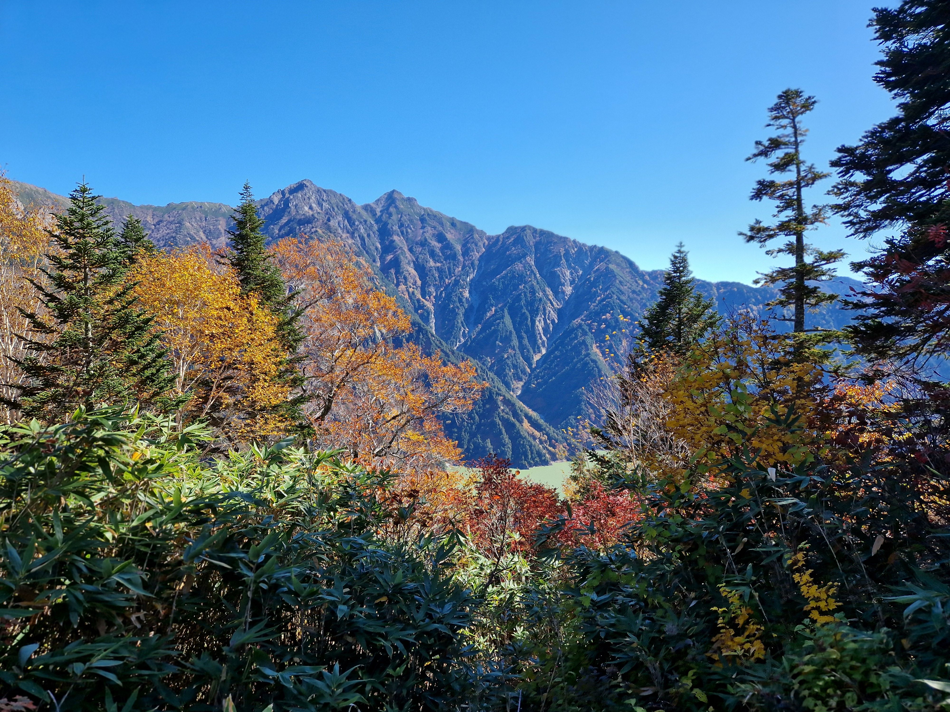 Wow – Japan's Alpine Route – Trouspinet travels