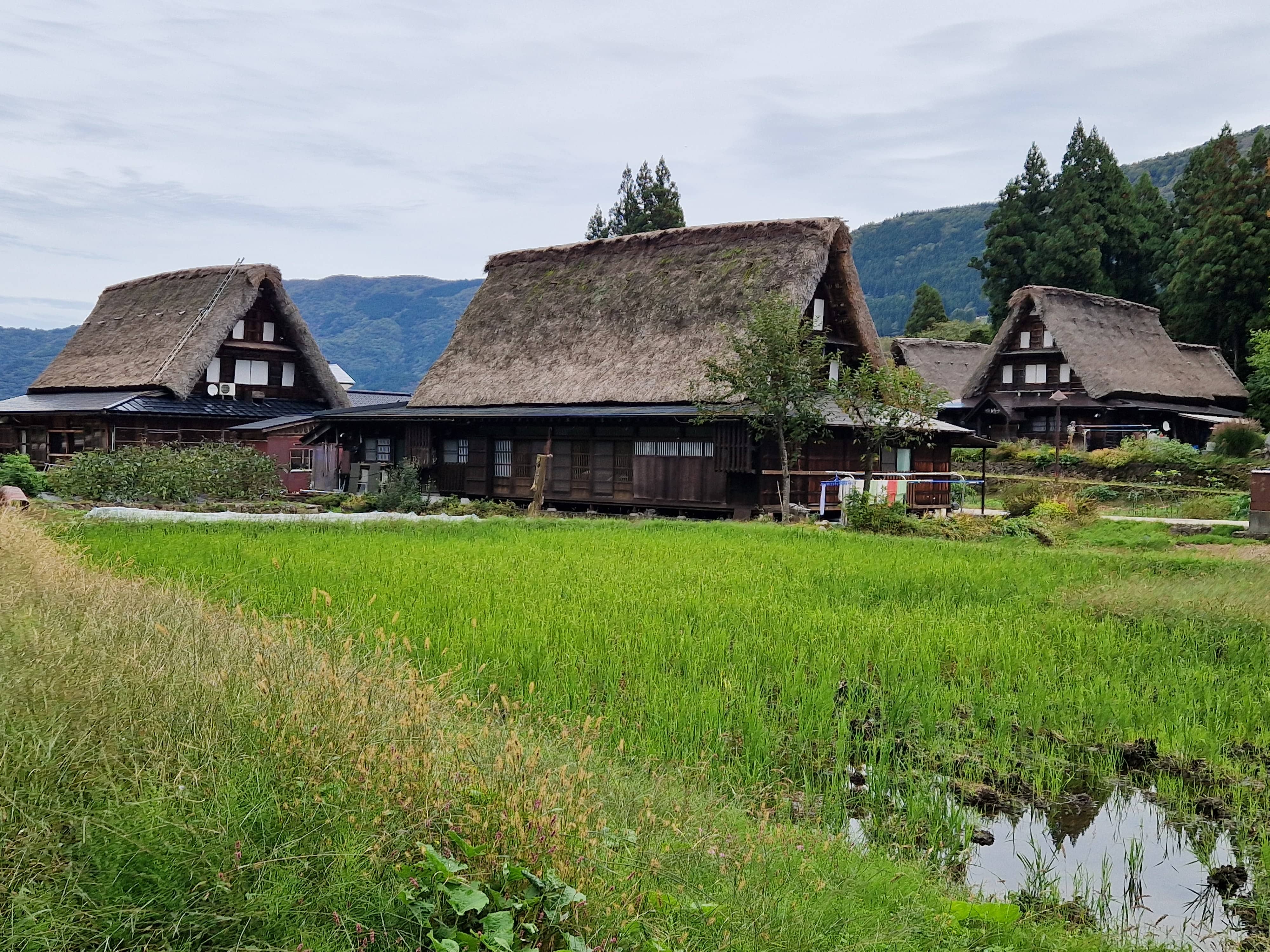 Takayama and Ainokura – Trouspinet travels