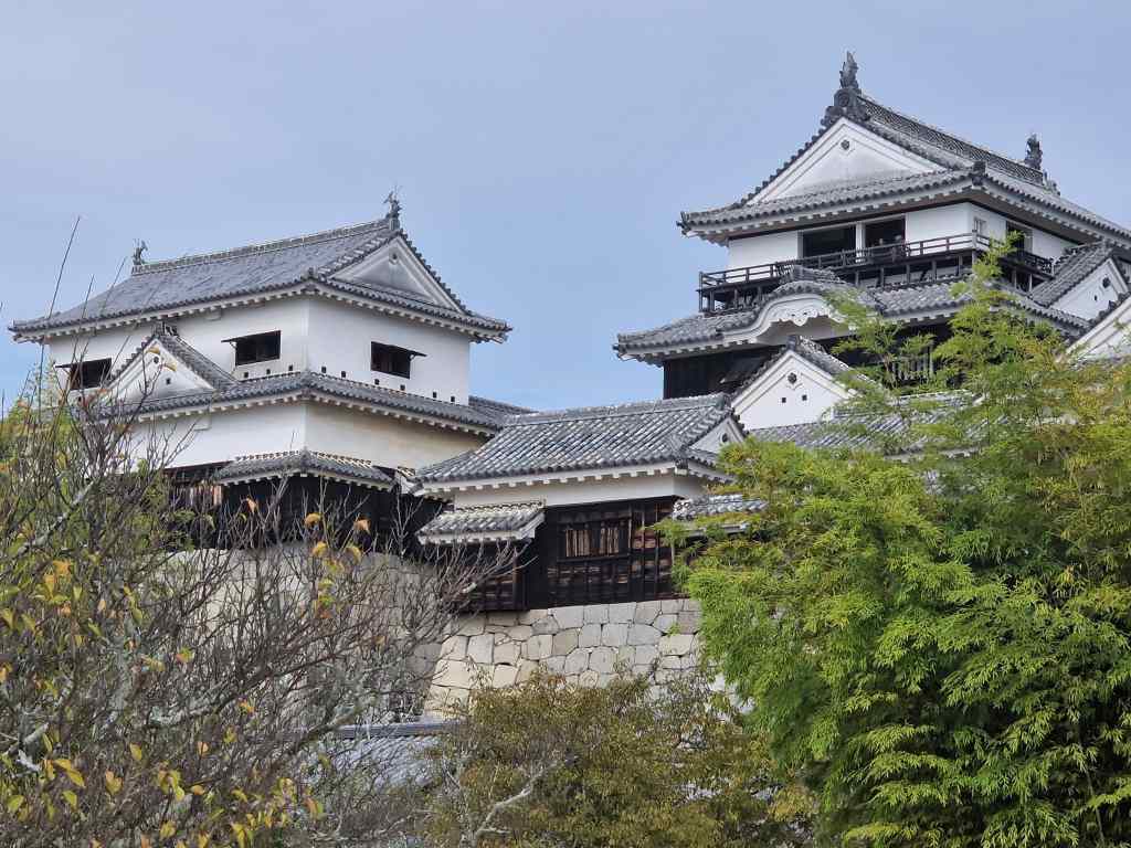 Matsuyama castle