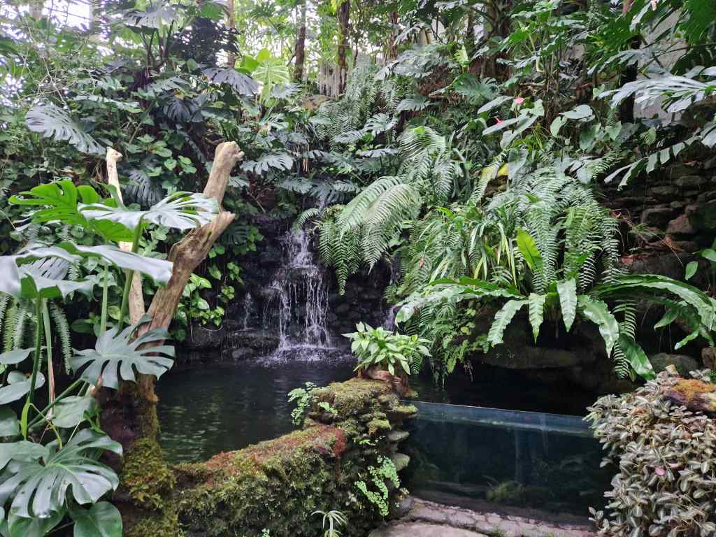 Makino garden in Kochi Shikoku
