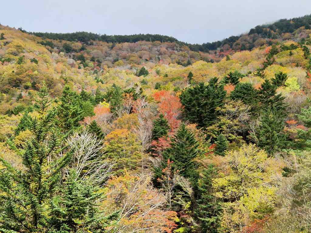 Autumn Colors in Iya Valley