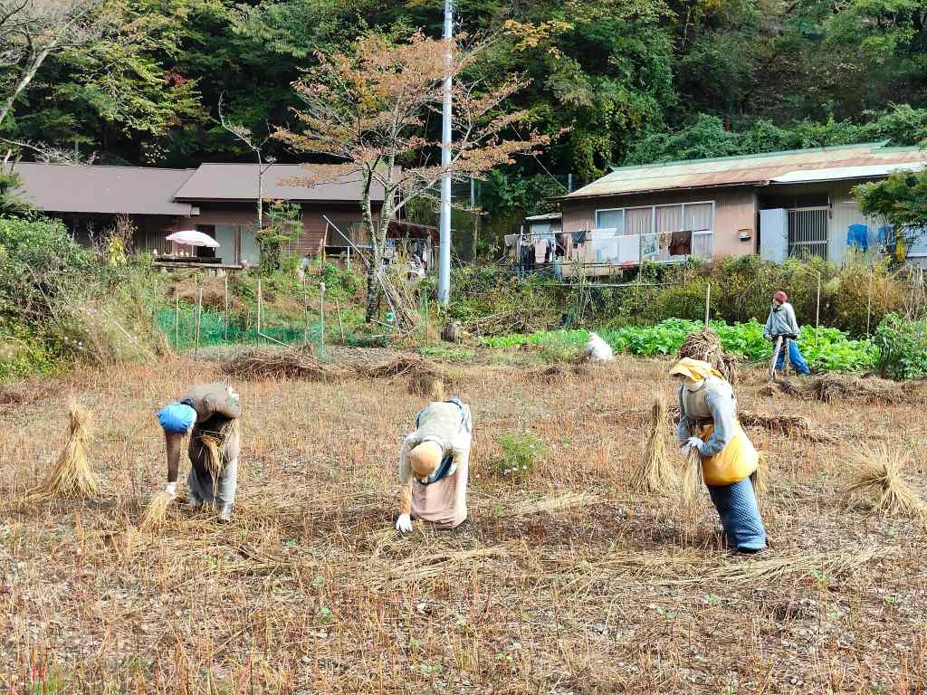 Nagoro Scarecrow Village