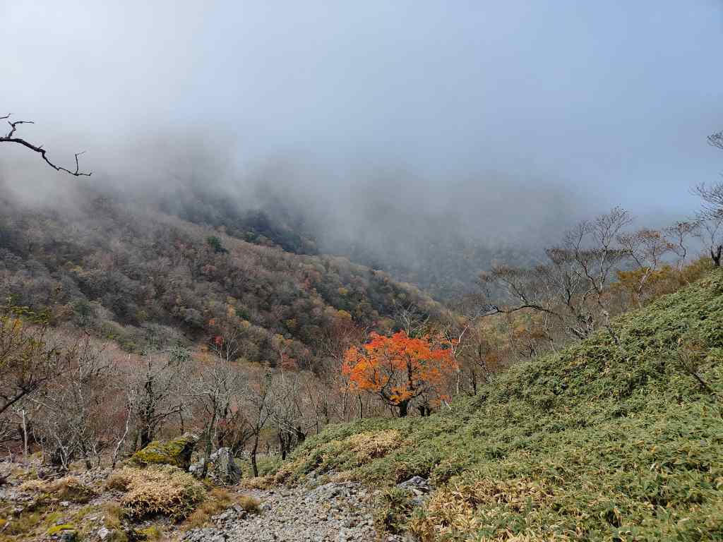 View mount Tsurugi